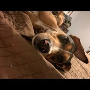 Meet your Posher, Ashley